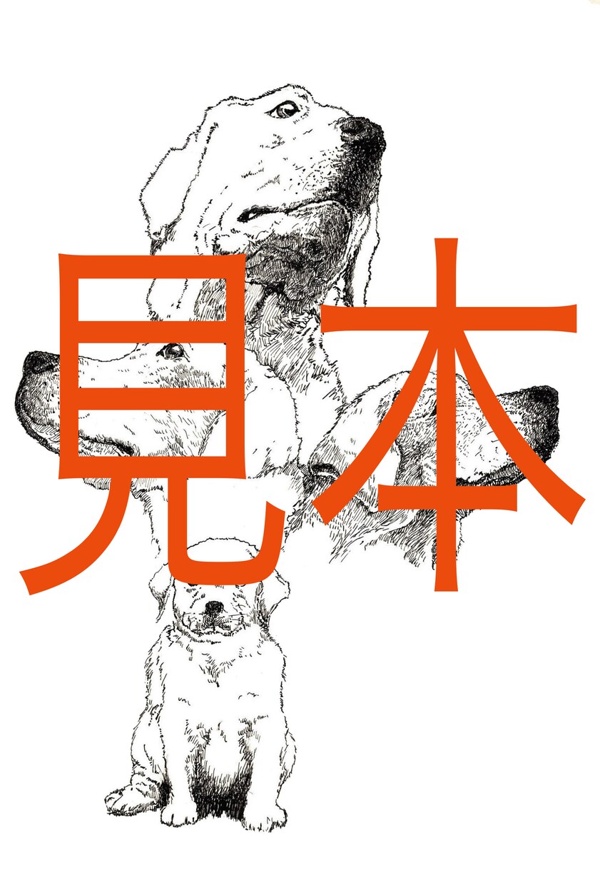 ペン画（細密画）作成します 色々なペンを使って細密な表現をします。 イメージ1