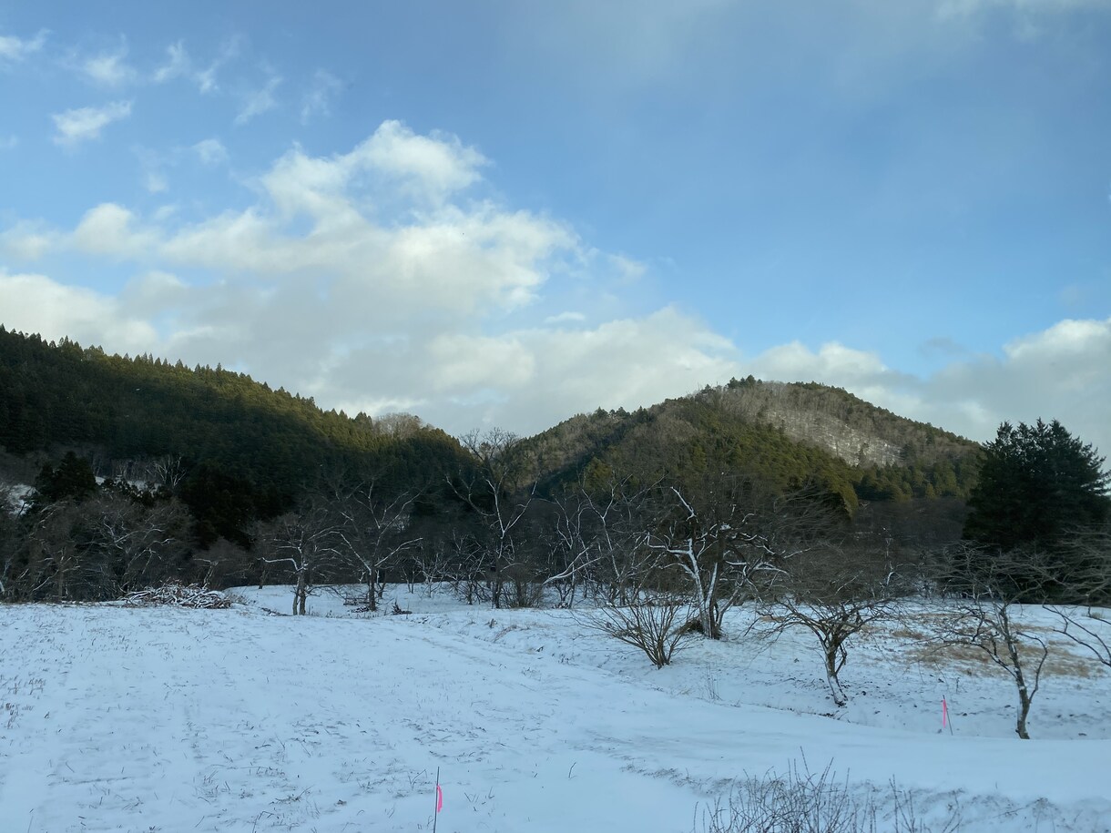 消えてしまいたいあなたに寄り添います 孤独や漠然とした将来の不安　眠れない誰か助けてほしい等 イメージ1
