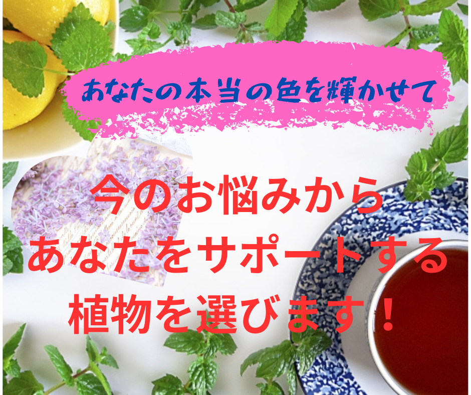 あなたの悩みをサポートする植物を選びます 自然に還り心地よく♥軽やかに♥手放しましょう イメージ1