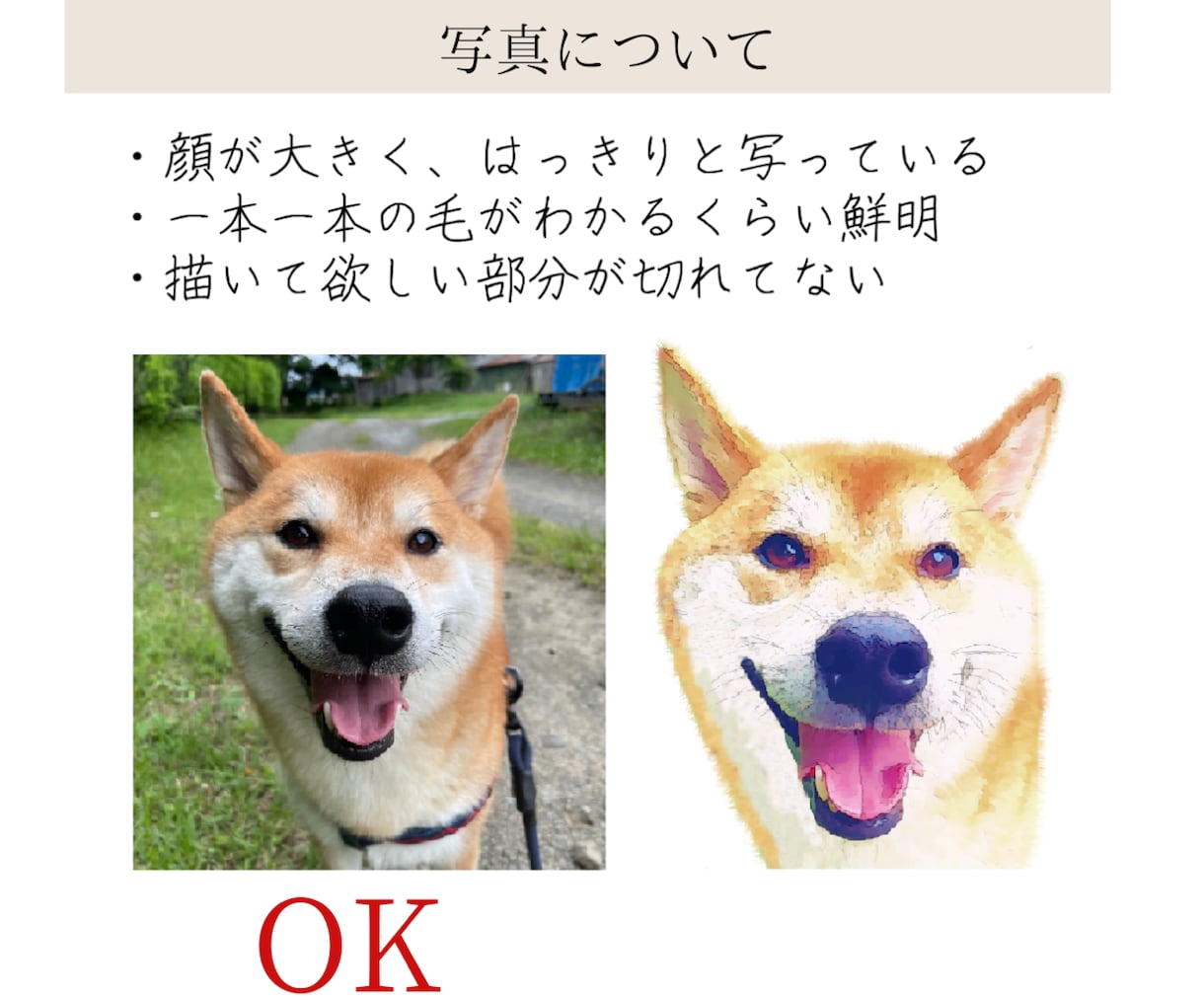 ガーベラペット似顔絵｜額縁可｜お急ぎ可でございます 猫・犬・うさぎ等リアルで華やかなペットイラスト｜ラッピング可 イメージ10