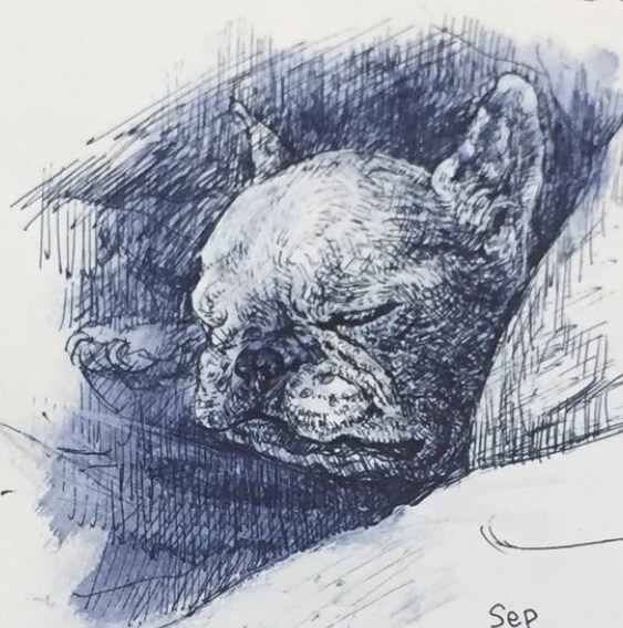 ペットの肖像画やイラストを賜ります どんな雰囲気で性格は？そうゆうこと大事に絵を描きたいです。 イメージ10