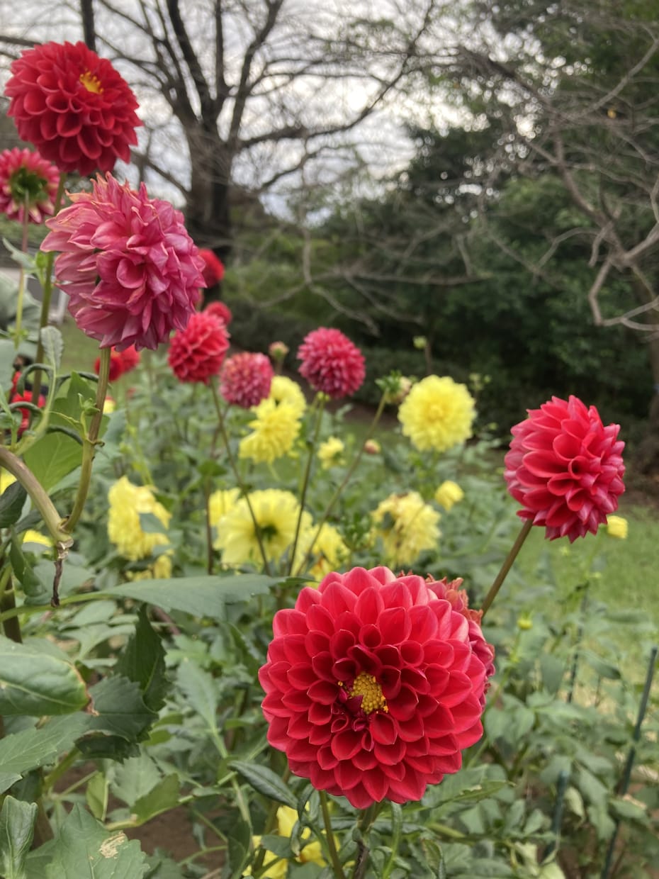 寄り添います！否定しません！最後まで聞きます 想いをたくさん吐き出してください！辛い時には抱え込まないで！ イメージ2