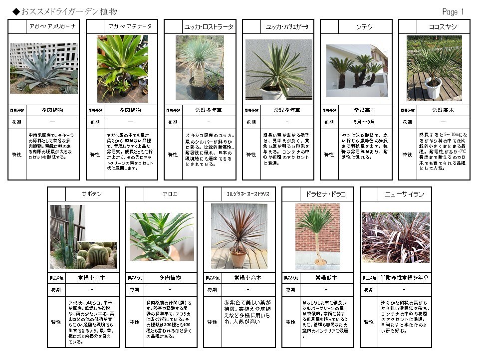 お庭の環境とイメージにマッチした植物を選定します お庭に植える植物選びにお困りの方へ イメージ3