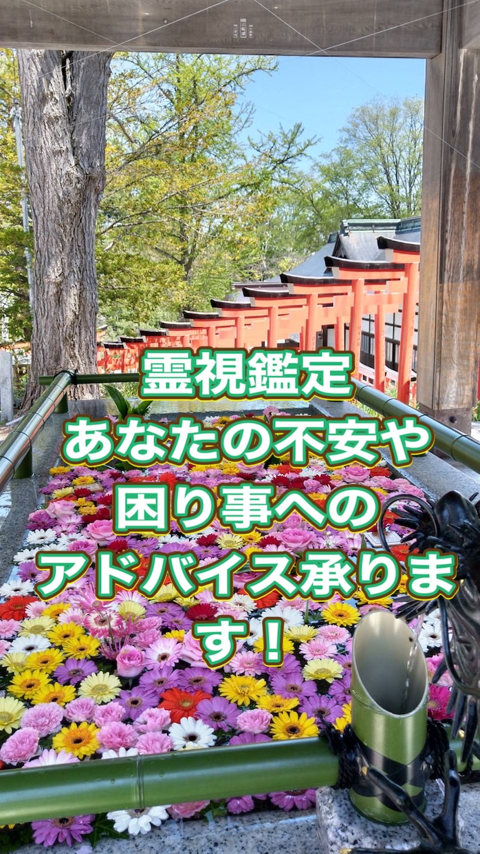 霊視鑑定致します 原因不明の事等で悩んでるいる方、的確なアドバイスを承ります イメージ1