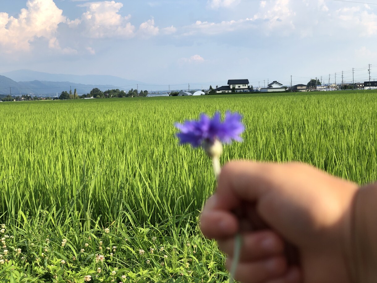 2日間メッセージで悩みや愚痴を聞きます メッセージで「ゆっくり考えて返信したい」という方におすすめ！ イメージ1