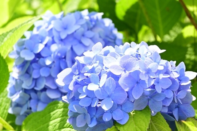 精神的に辛いあなたへカウセリングします 経験を活かし、カウセリングいたします イメージ1
