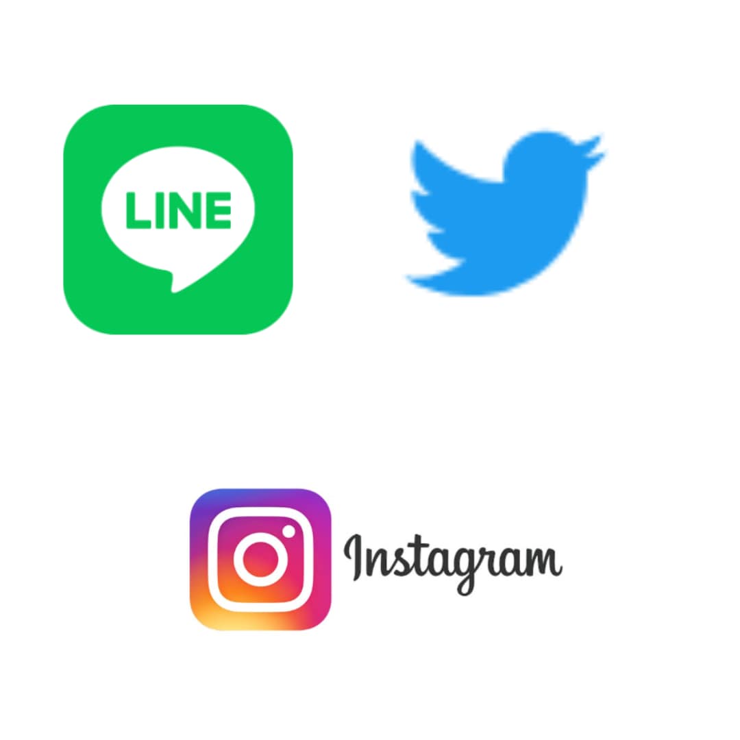 集客UPのSNS～LPまでトータルでサポートします SNS集客全般の流れをコンサルします。 イメージ2