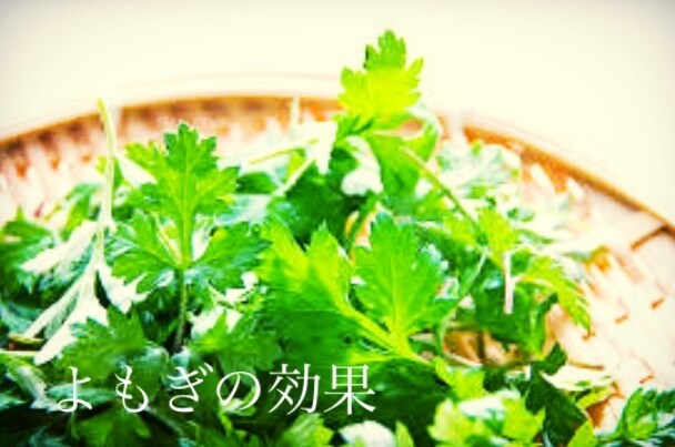 よもぎの効果、です。web他用になります web他、様々な用途で可能かと思います。 イメージ1
