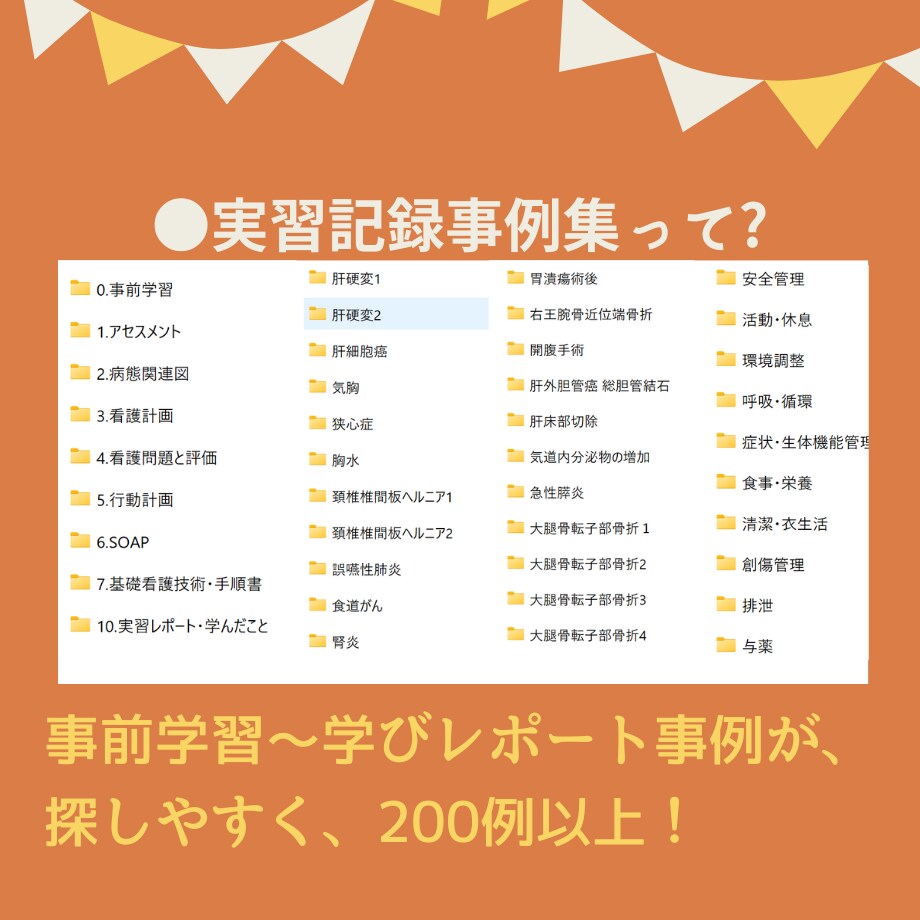 過去の看護実習記録★テンプレ★いろいろ教えますます 【すらすらパック】目標★関連図★周術期メモもあります♪ イメージ8