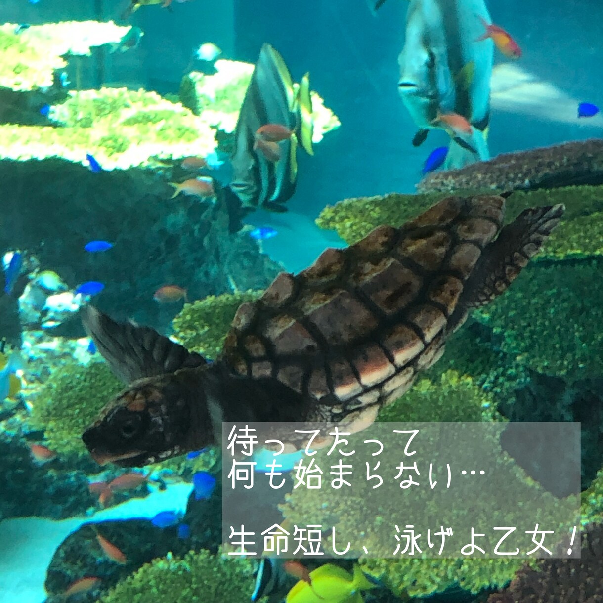 私はここで終わらない！そんな貴女に寄り添います あなたの心の声を引き出し、可能性を導きだします イメージ4
