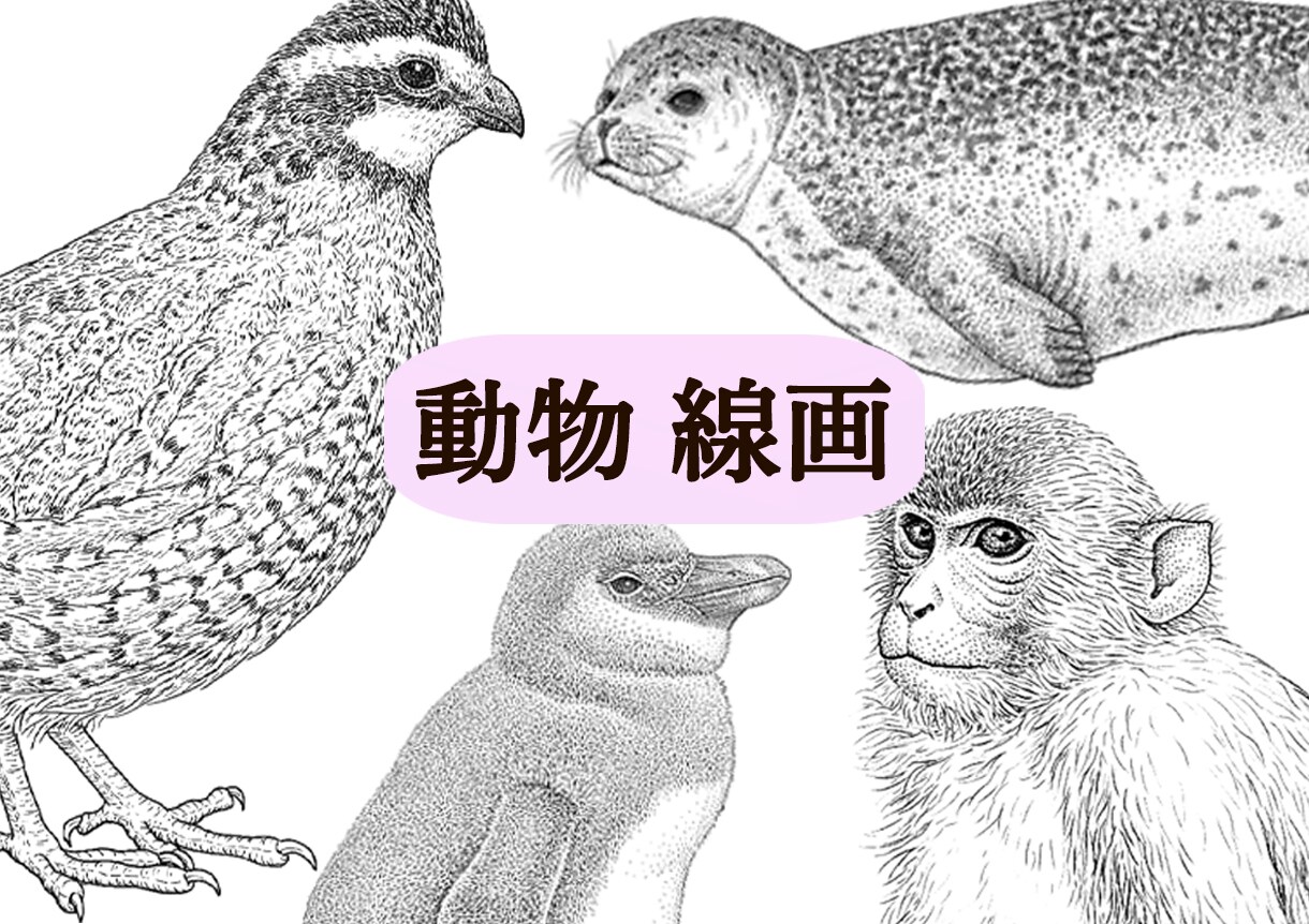 図鑑・教科書・教材のリアルなイラストを描きます 学術対応可能、教材・論文・専門書向けの正確な図版を提供します イメージ8