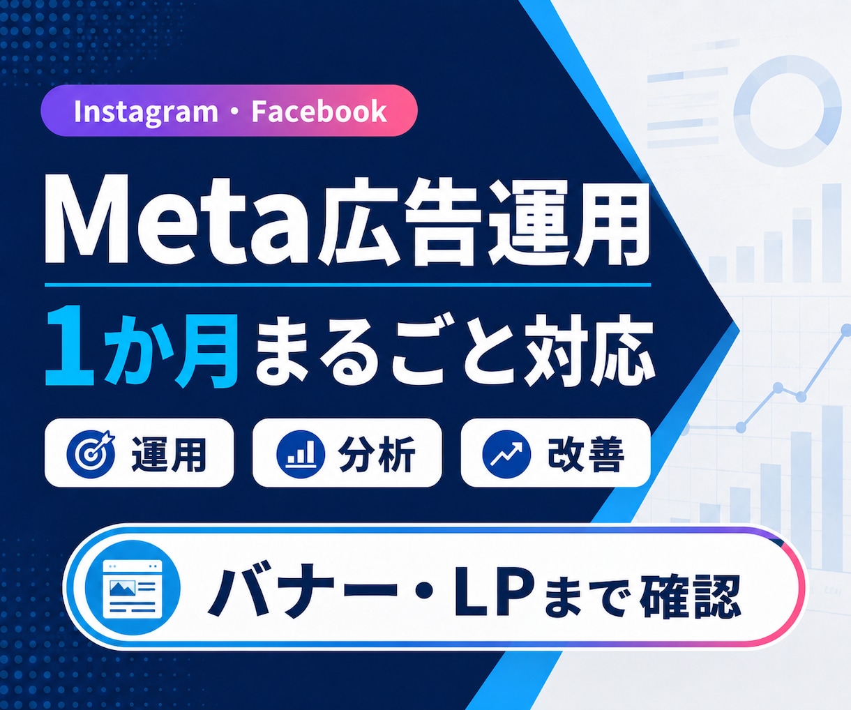 Meta広告を1か月運用・改善します バナー・動画・LPまで見て改善案をご提案します イメージ1