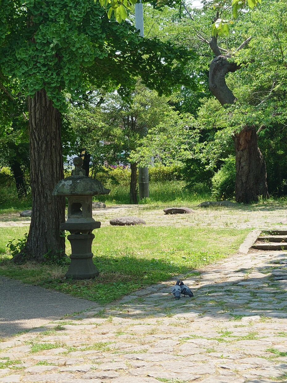 恋愛、悩み相談、どんなお話でも、お聞きします 遠距離７年お付き合い経験、性病経験、その他なんでも イメージ3