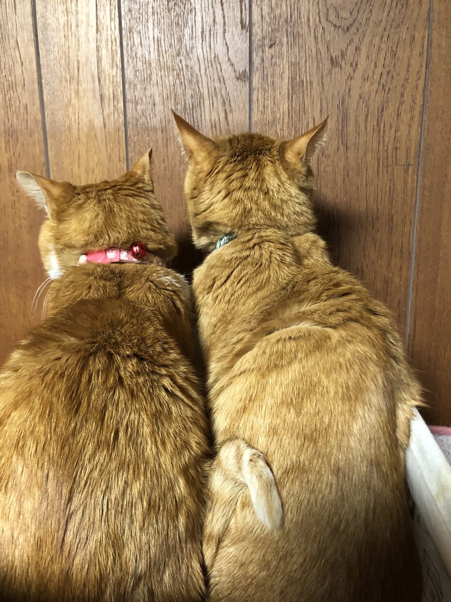 あなたの得意✖️好きを見つけます あなたの好き✖️得意を一緒に見つけていきましょう！ イメージ1