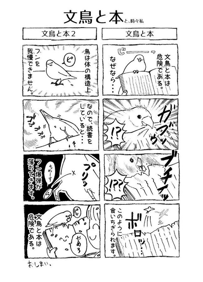 文鳥描きます 文鳥大好き!飼ってる文鳥からインスピレーションもらってます イメージ1