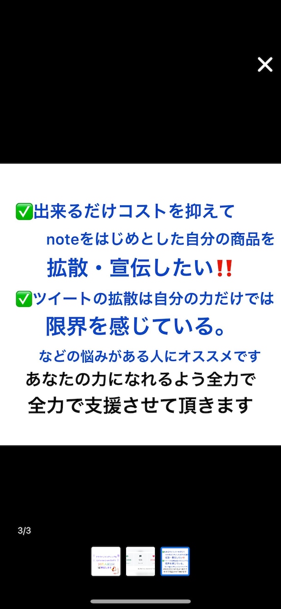 2つのSNSでHP、LPを宣伝します X(旧Twitter)とnoteでW宣伝・鬼拡散します‼️ イメージ3