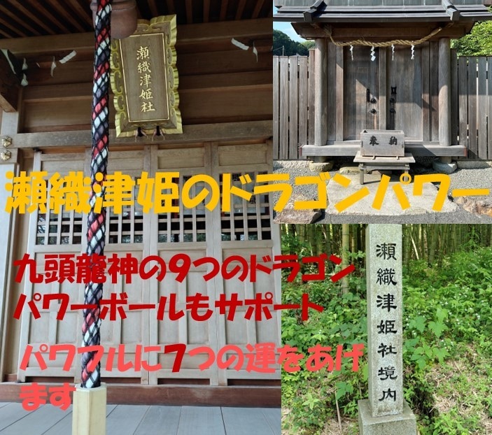 瀬織津姫のドラゴンパワーヒーリング®伝授致します ∞九頭龍神の9つのドラゴンパワーボールもサポート∞ イメージ3