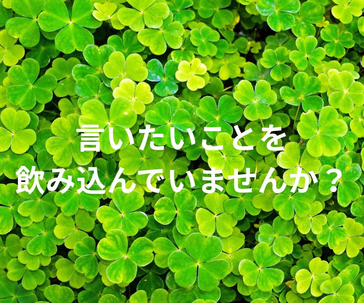 今すぐ話したい！聴いてほしい！をお聴きします 5分でも大歓迎ꕤ︎︎  あなたの心の声を言葉にしませんか？ イメージ5