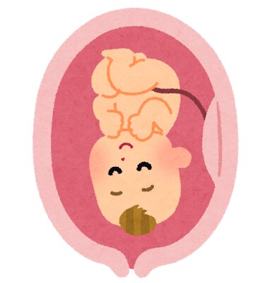 妊娠中の不安を軽くする方法を教えます 赤ちゃんを感じて癒される胎教(出産前教育) イメージ2