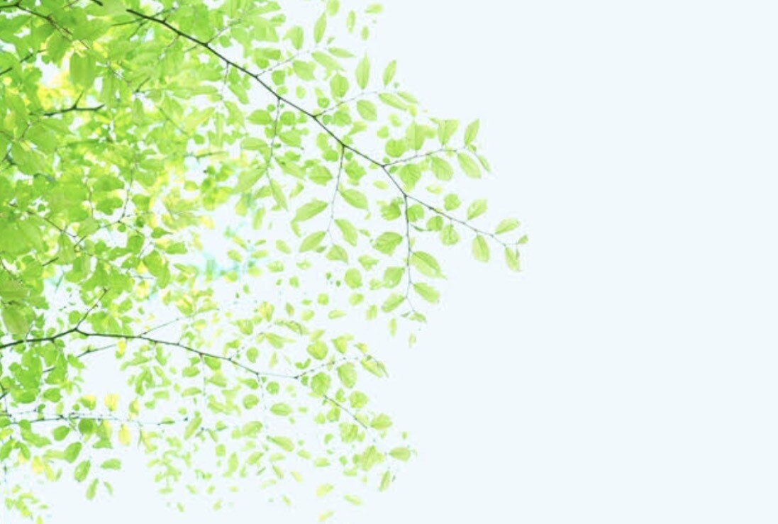 両眼の画像をみて、霊視します お相手のお気持ち、ペットの気持ち、等お話します イメージ1