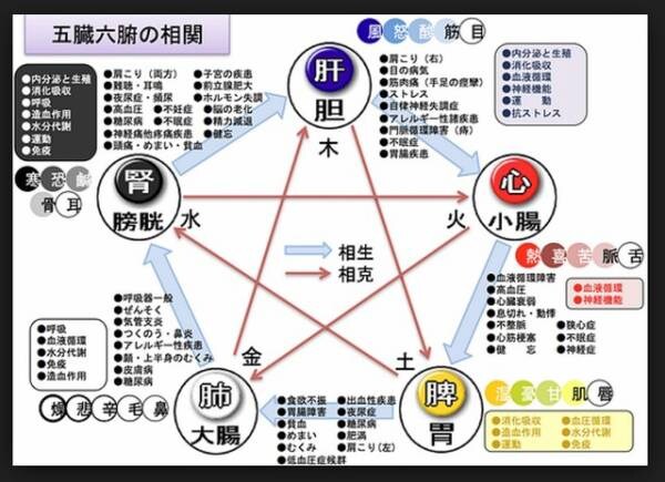 2026年！四柱推命で運勢鑑定します 新しい生活を頑張ってるあなたに夢、成功への追い風吹かせます★ イメージ3