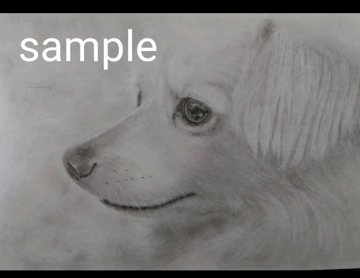 愛犬、愛猫、ペットのリアルな似顔絵オーダー承ります 精密描写で描きます。インテリアアートなどにいかがでしょうか。 イメージ5