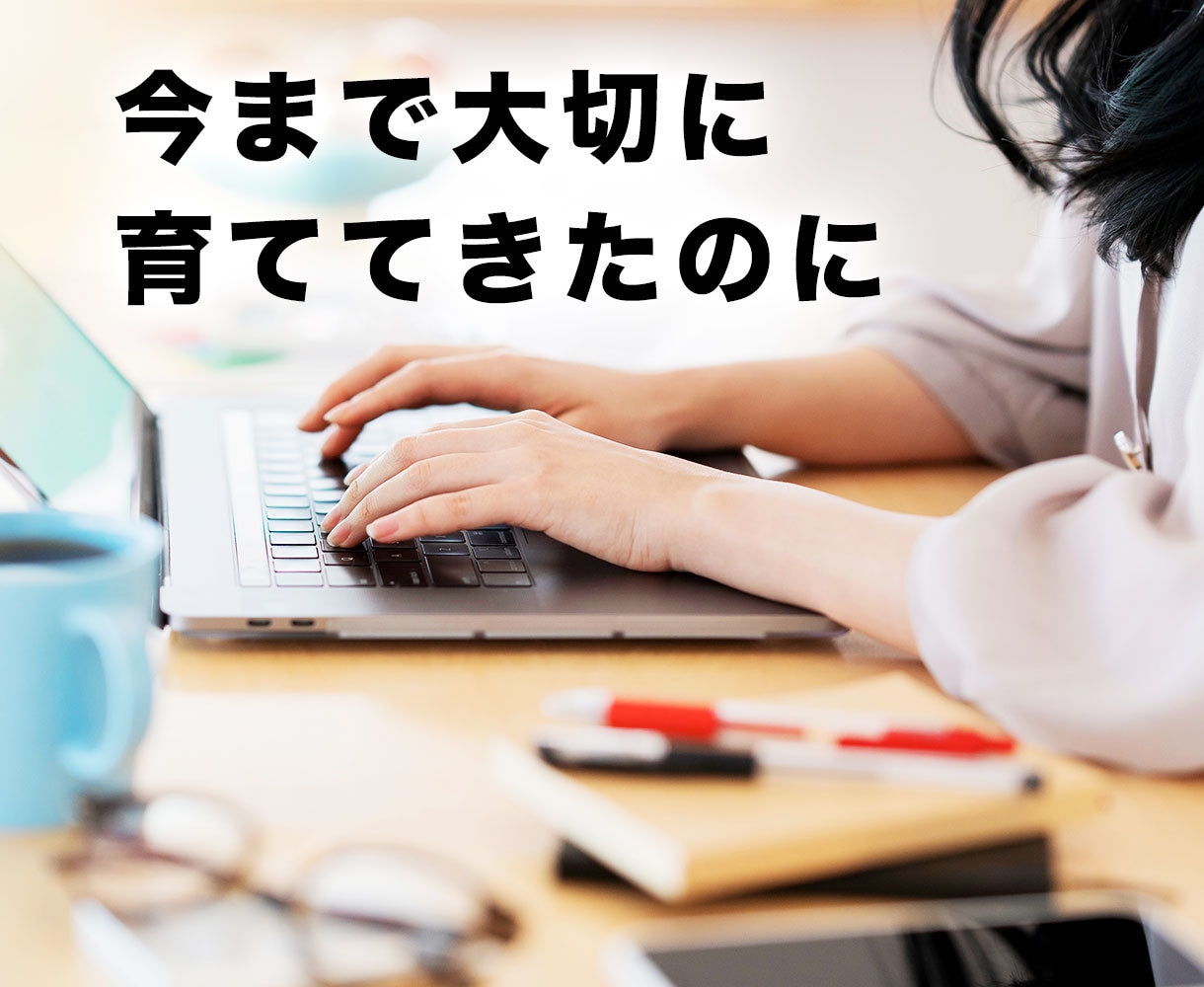 WordPressエラー、不具合の復旧・修正します ワードプレスログイン、マルウェア、サイトエラー改善を即日対応 イメージ4