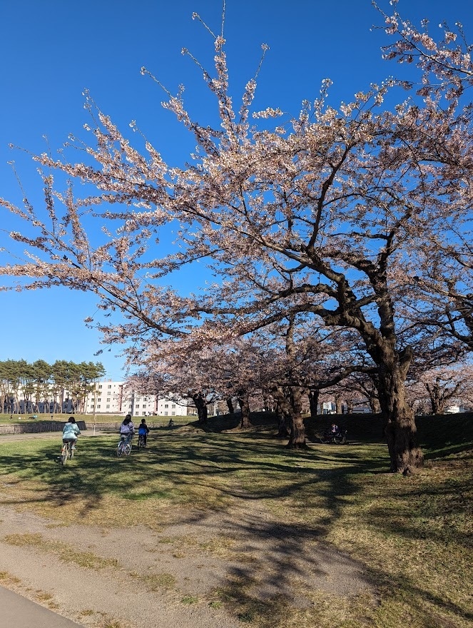 あなたの心のモヤモヤを聞かせていただきます HSPの29歳があなたのココロに寄り添います イメージ5