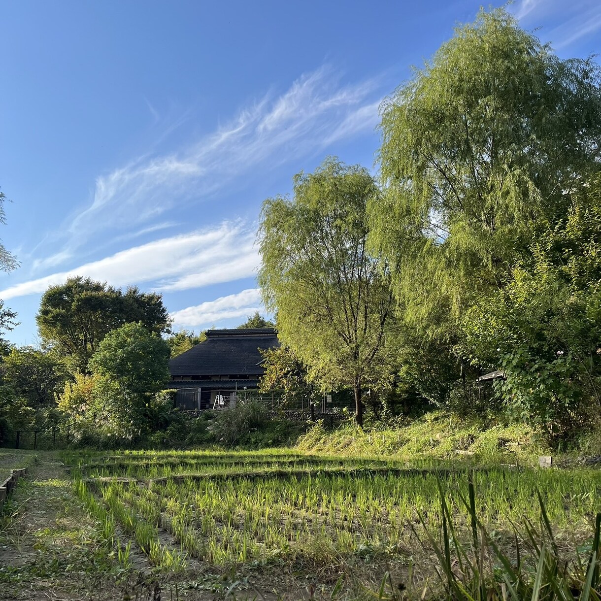 首都圏観光はお任せ！ご希望のプラン作成します 多すぎる首都圏の観光スポットに悩む方へ イメージ6