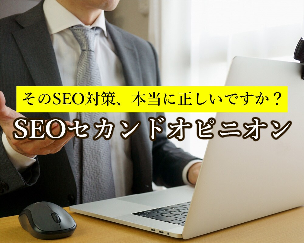 既存サイトのSEOセカンドオピニオン診断します 専門家視点で現状分析と改善策を提案 イメージ1