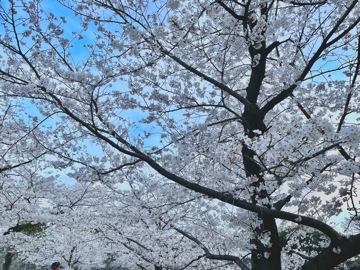 あなたの転職の相談乗ります 上場企業・中小・ベンチャーを経験した私が相談に乗ります！ イメージ1