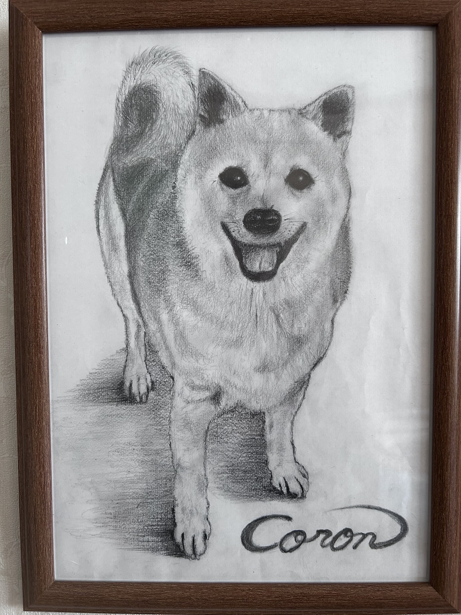 鉛筆でお犬さんを描きます お犬さんの思い出の写真を鉛筆画にいたします。 イメージ2