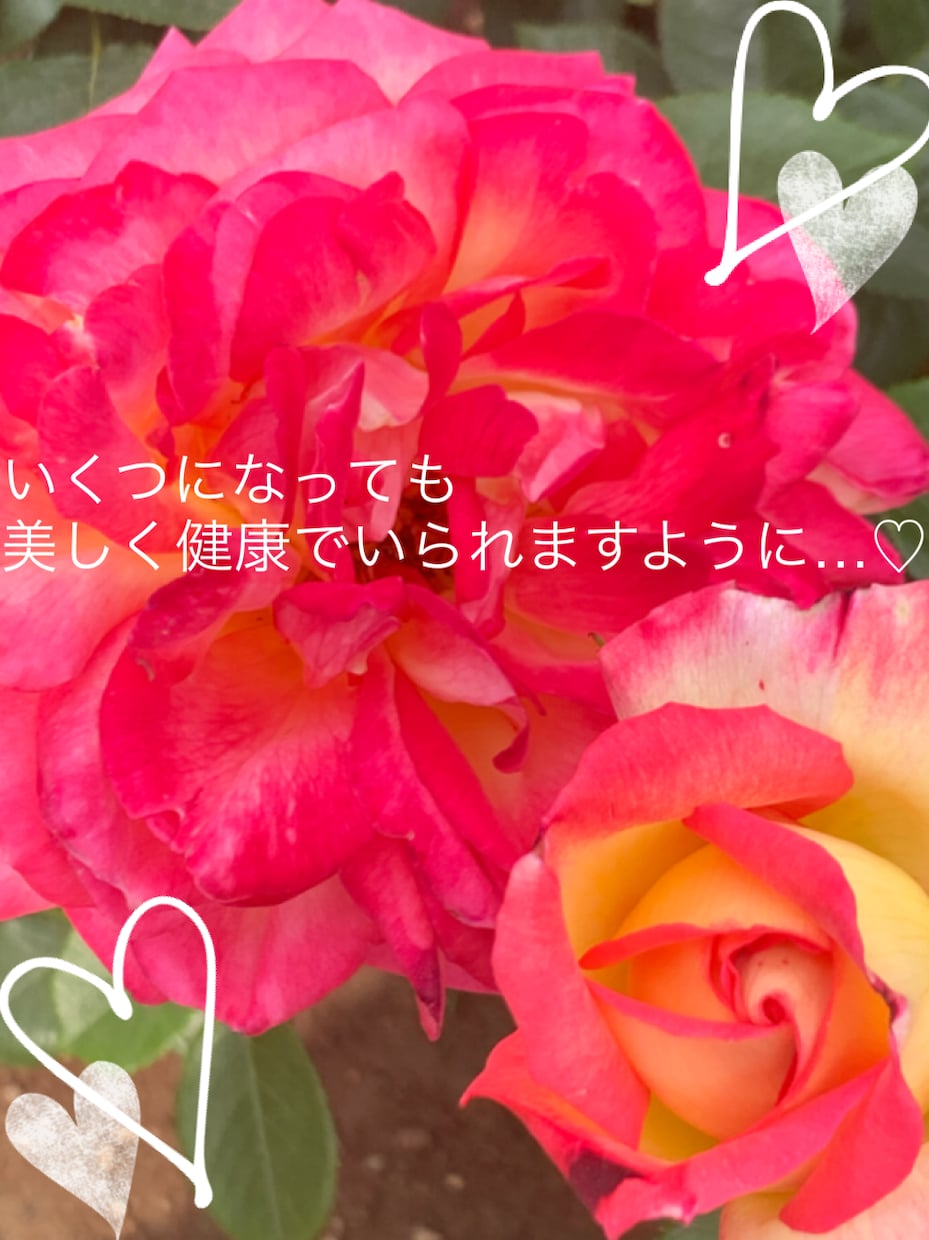 あなたに合った美容法や健康食品の摂り方教えます 現役美容部員が悩みに応じた成分と摂り方のおすすめを紹介します イメージ1