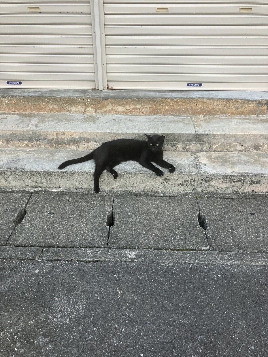 現状の行き詰まりを今より★一歩先へ歩ませ⭐︎ます 現　祓師をしている★現実世界⭐︎スピ世界の行き来人メッセージ イメージ1