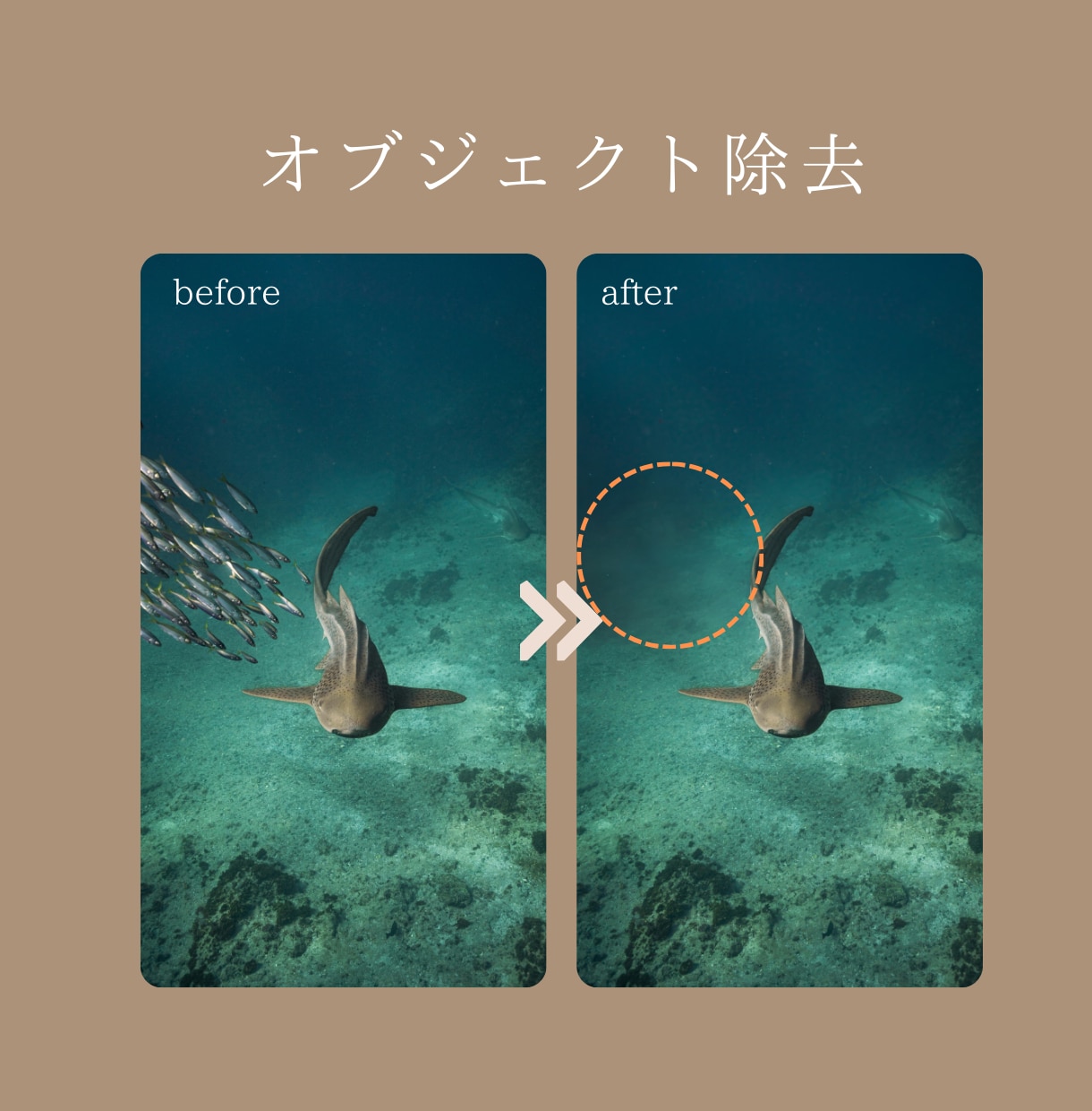 写真のノイズ処理、高画質化処理をいたします 限界を超える美しさ。ノイズ除去と高画質化で最高のクオリティ。 イメージ3