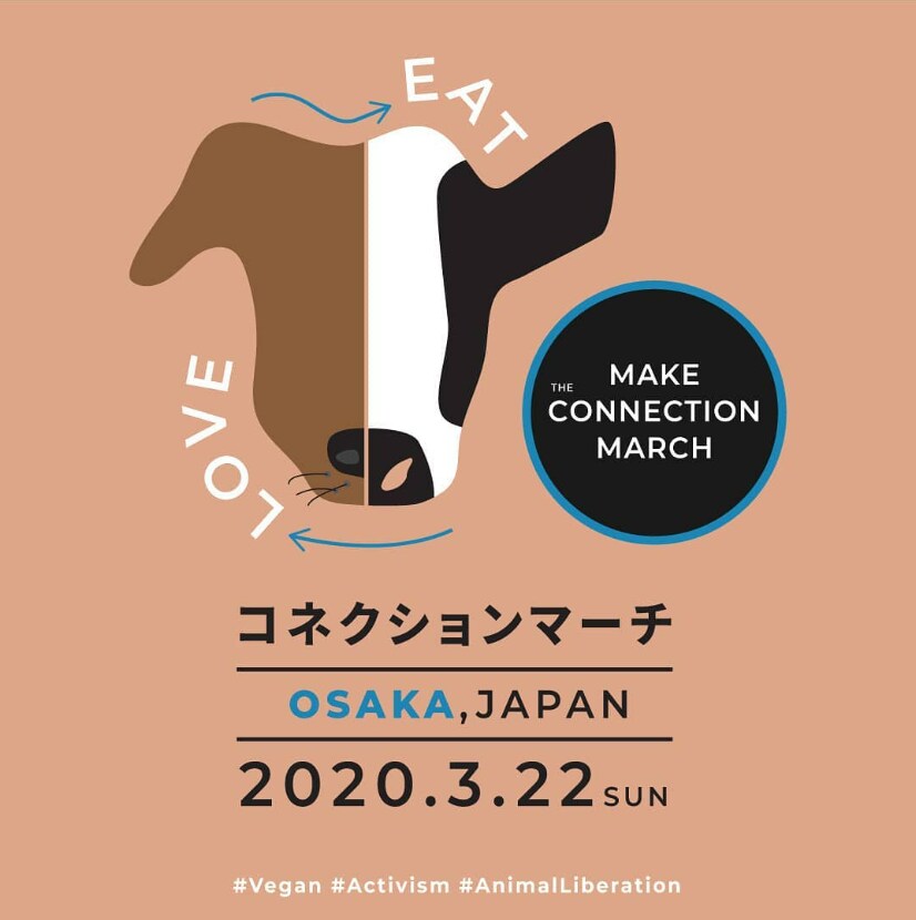 スピード対応インスタグラム画像作成します プロのグラフィックデザイナーが対応いたします！ イメージ2