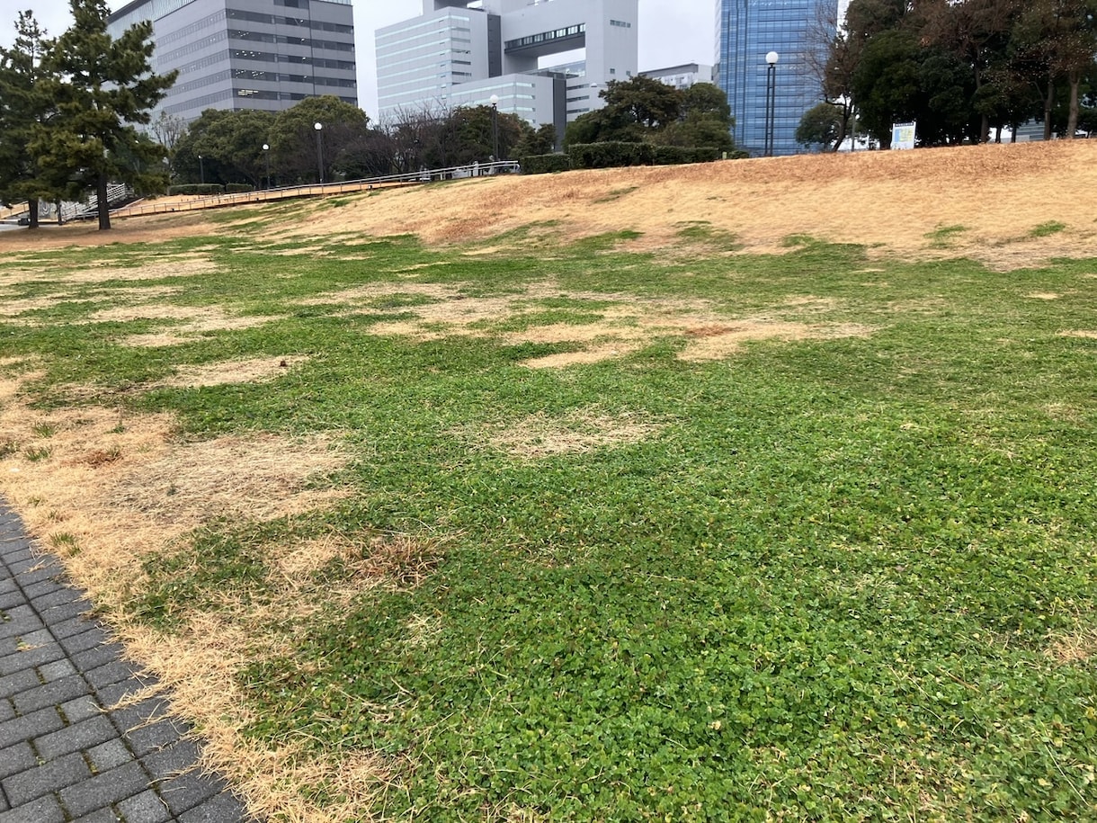 東京近辺どこでも喜んで！街の写真を撮ってきます この街はどんな街？あなたの代わりに訪問して写真を提供します イメージ4