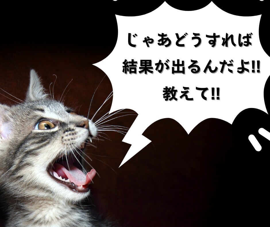 ネット副業を成功に導くオーダーメイドコンサルします 初心者でも稼ぐための力と戦略が手に入る！販売自動化も可能！ イメージ5