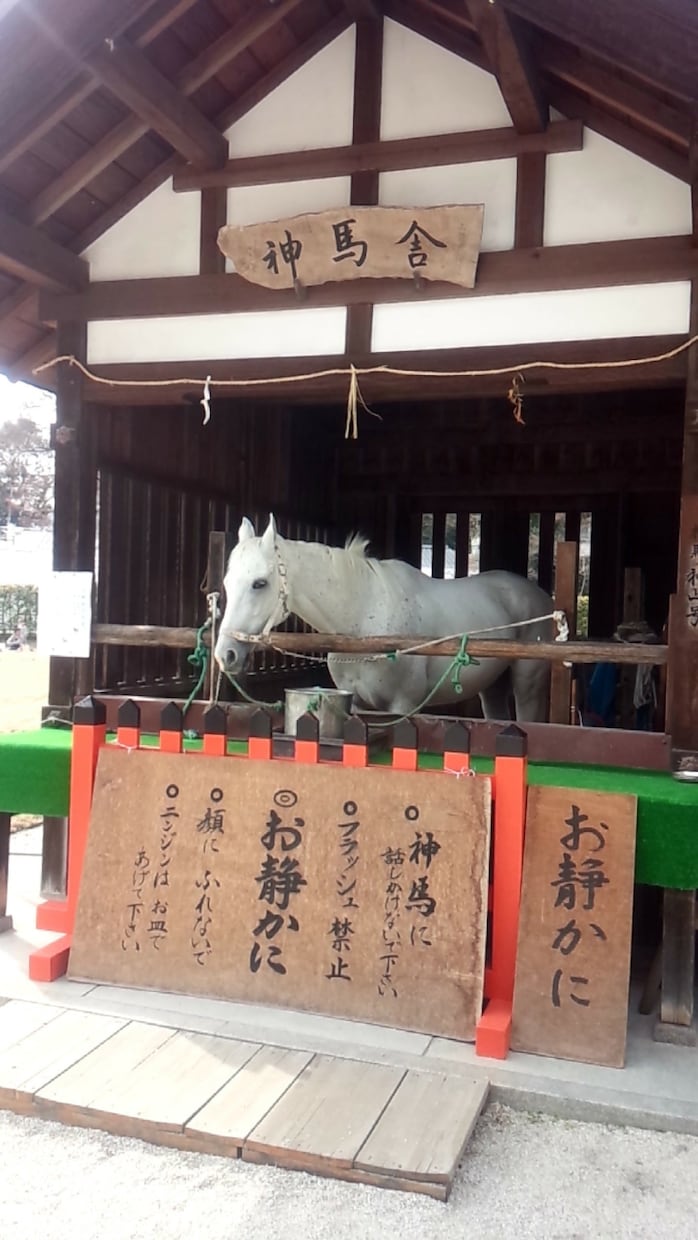 京都の「今ここ知りたい」をお届けします スポット1件あたり300円✧ ※条件により前後します イメージ4