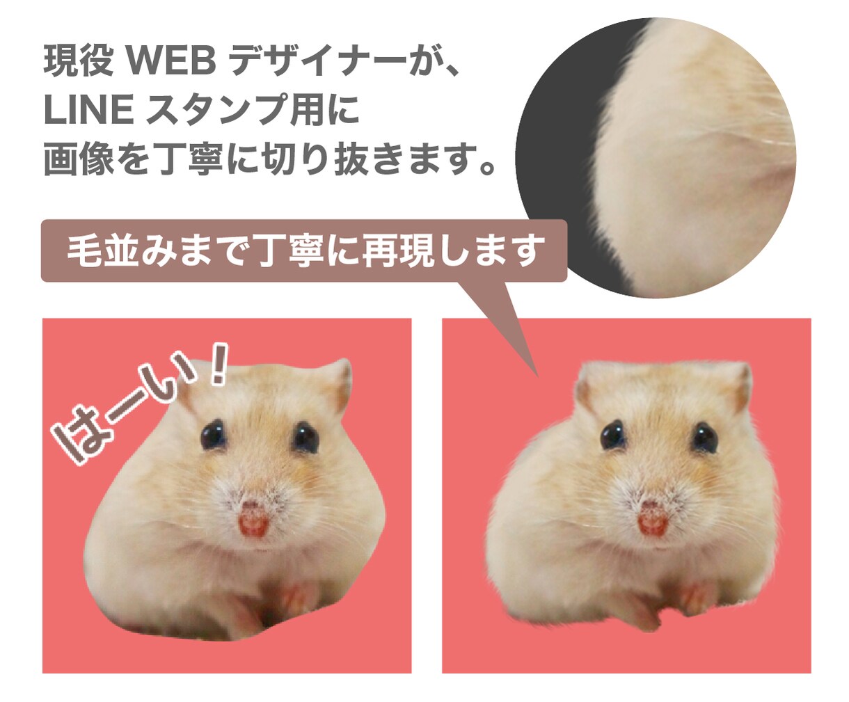 ペット写真をLINEスタンプ用に切り抜きます 8枚セット対応｜動物専門の毛並みまで丁寧に切り抜き◎ イメージ2