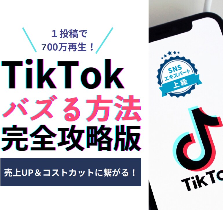 TikTok運用で成功するためのアドバイスをします 【1000万回再生】他数十万再生連発!ショート動画初心者歓迎 イメージ1