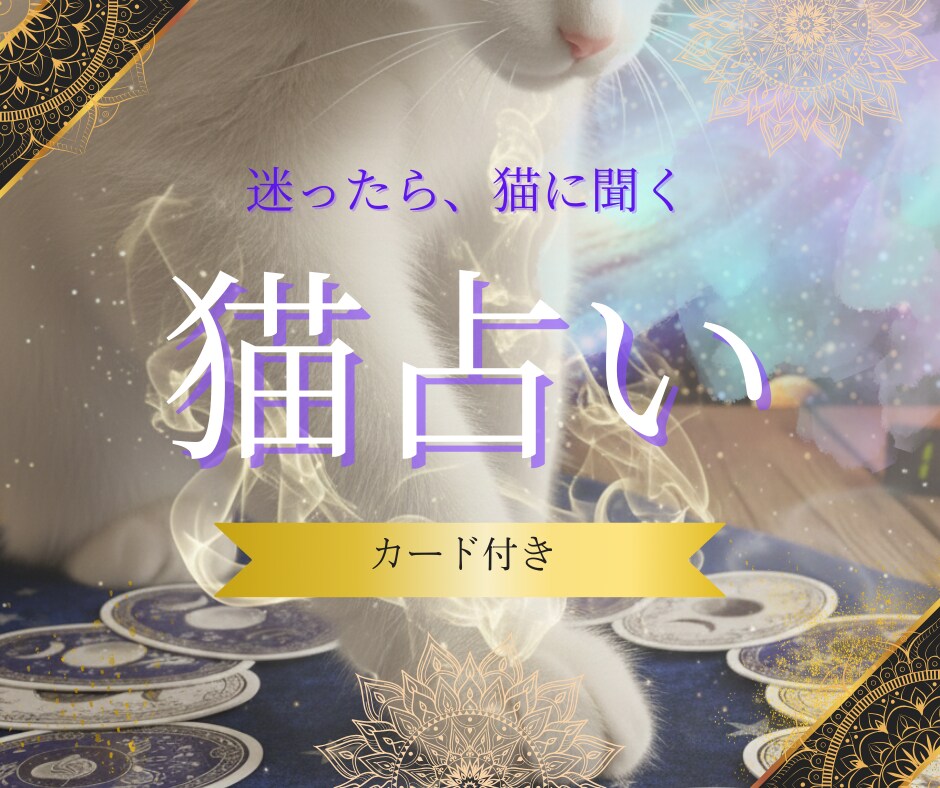 5名【限定】迷い猫が1枚で答えるミニ占いをします ワンオラクルで今の運命をやさしく鑑定 イメージ1