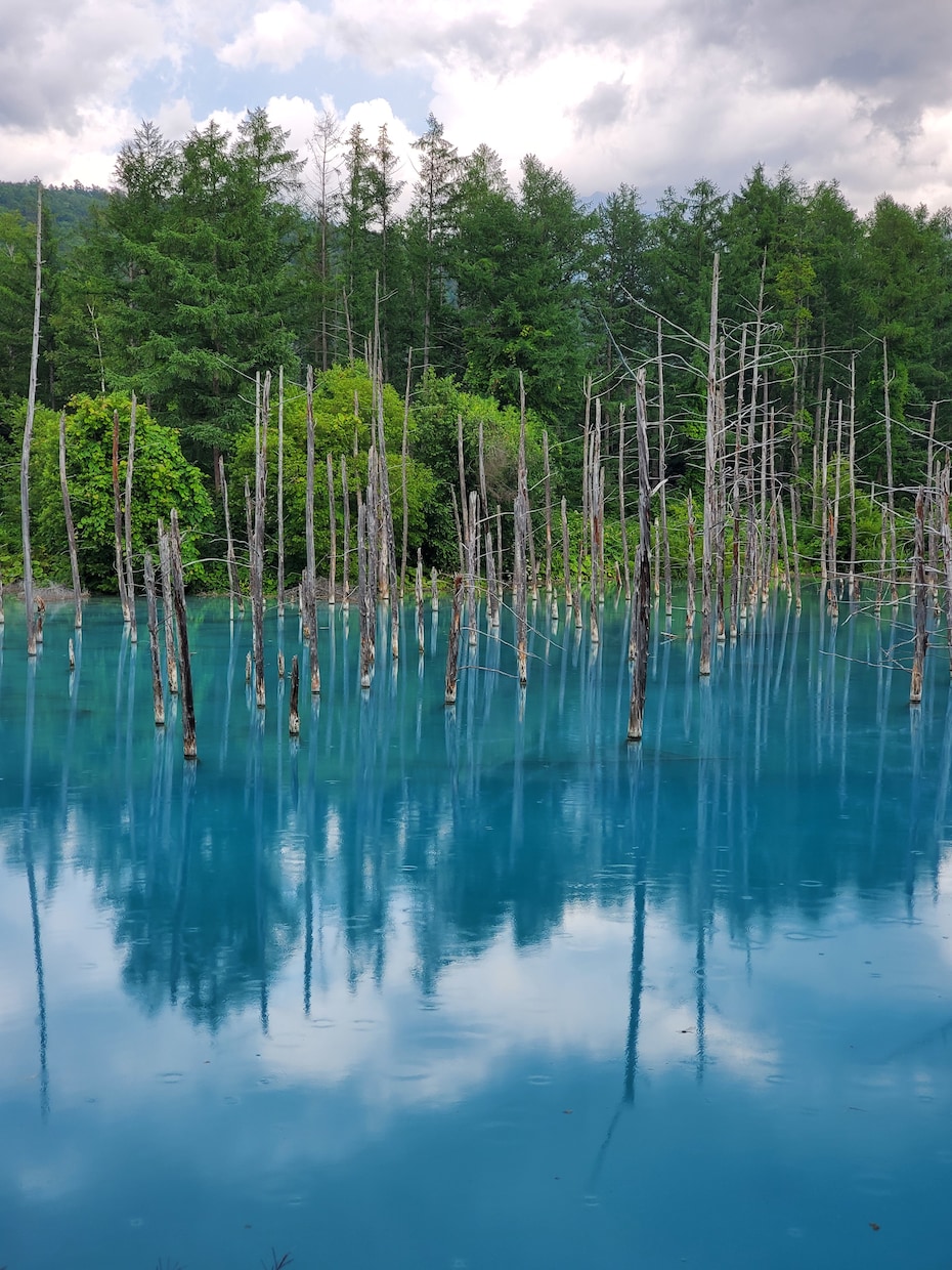 北海道の風景画像をお届けします 地元北海道での旅行が趣味で様々な北海道をお届けします。 イメージ1