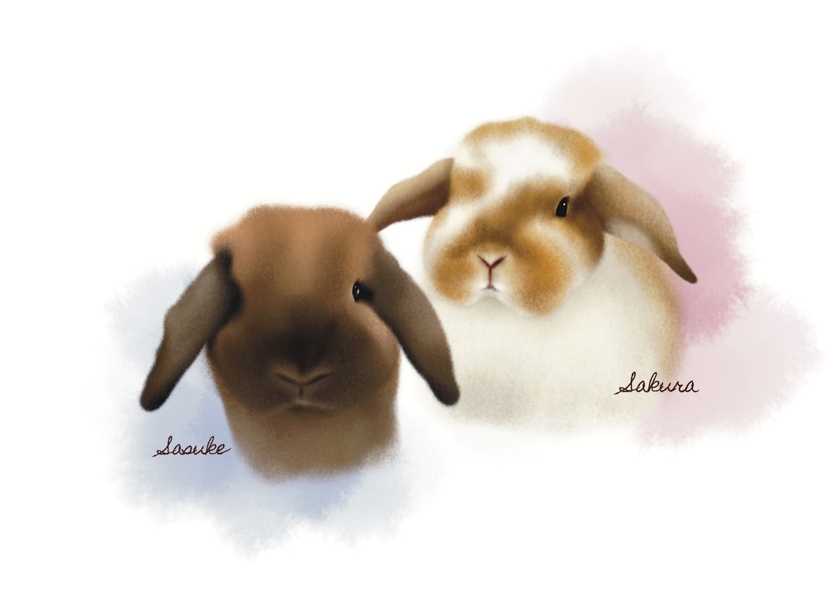 ペット◆あったかくてやさしいふわふわ似顔絵描きます 大切なペットのお写真イラストにいたします イメージ4
