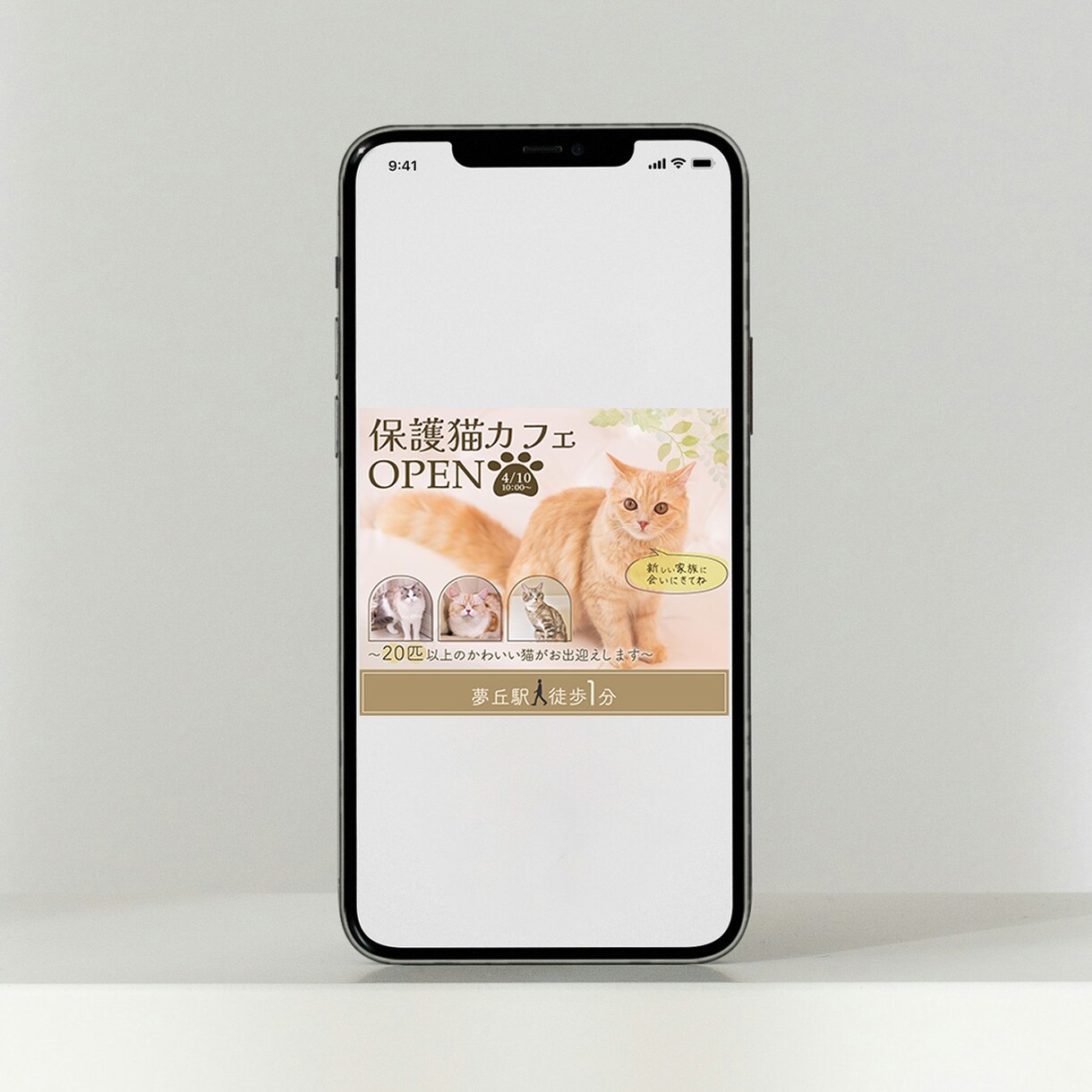 集客向け！伝わるWEB画像を制作します 修正無制限！先着５名様限定で集客に繋がるWEB画像制作します イメージ4