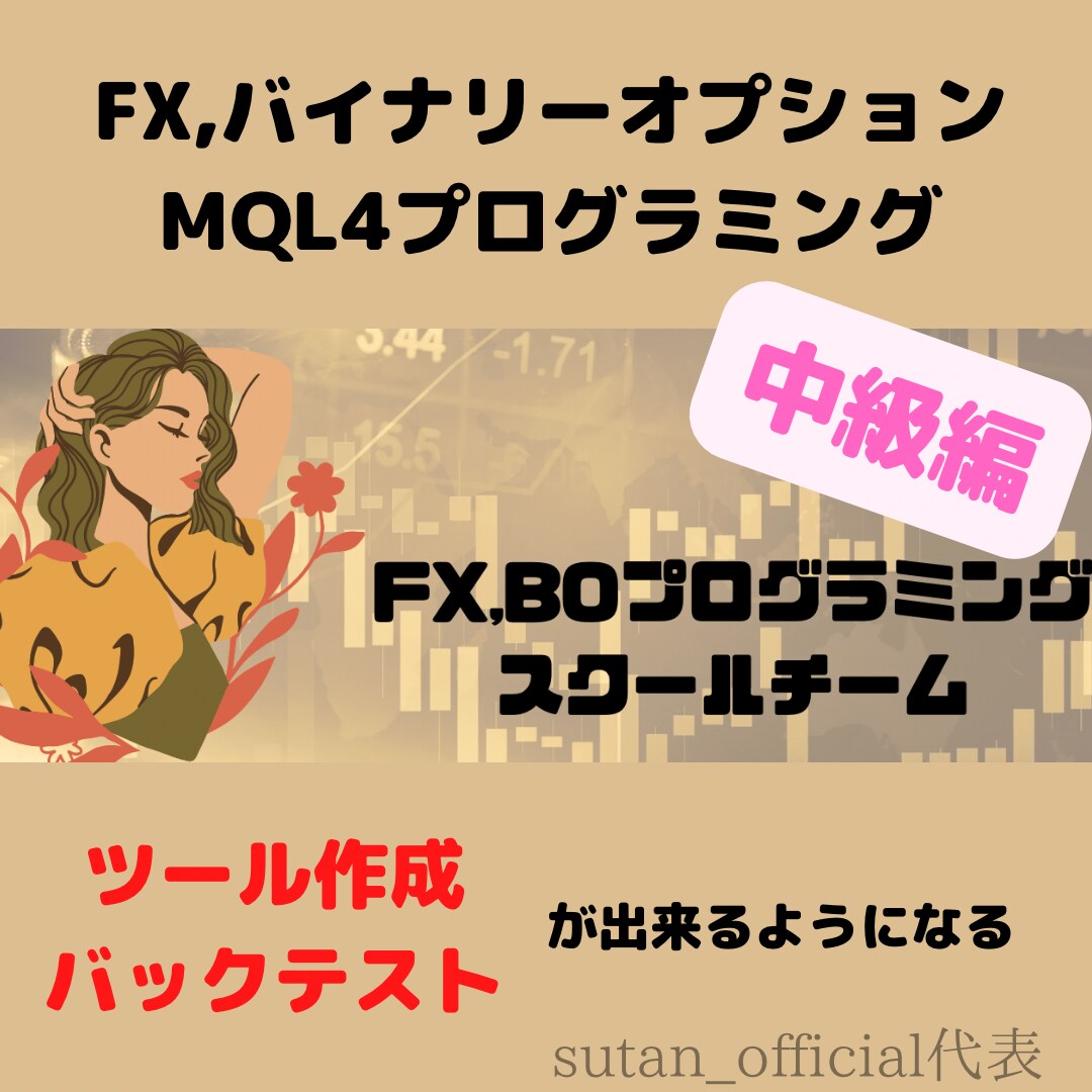 FX,BOプログラミング業界最安値で学べます サインツールやバックテストが取れるようになるコード中級編 イメージ1