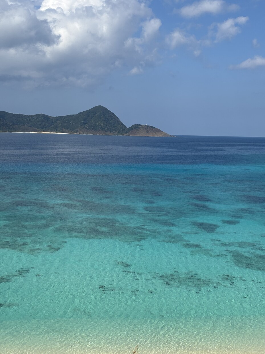 霊感霊視にてお相手の気持ちを視ます お悩みをお聞かせください。解消いたします。 イメージ5