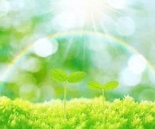 あなたのお仕事の今後　占います 転職する？　現状維持？　起業する？　今後の気になるお仕事運 イメージ3
