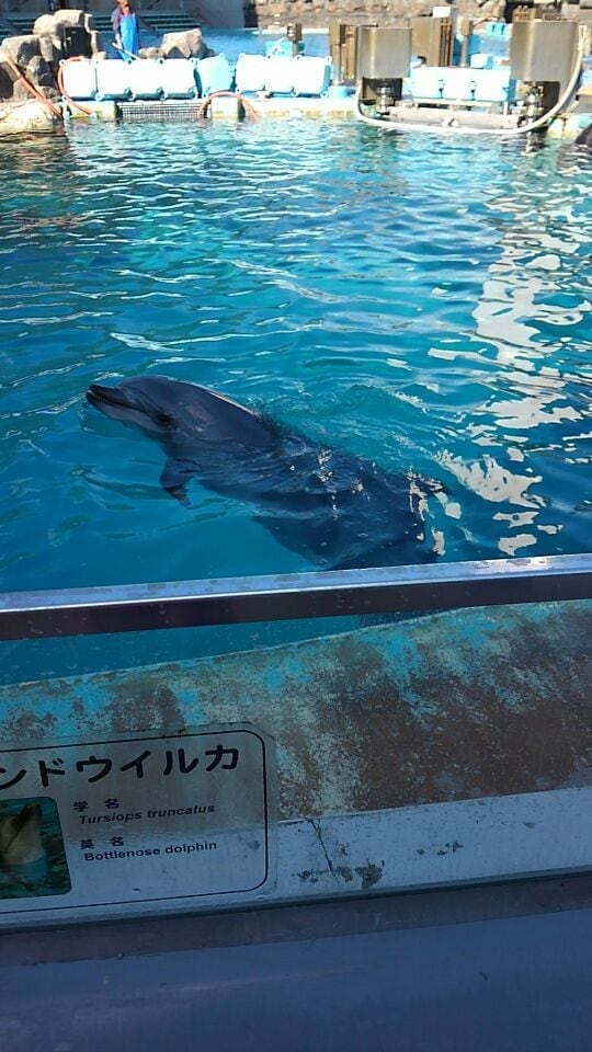 何かあってもなくても、お気軽に♪ お待ちしています ほわっ♪と心が安らぐ時間。よっしゃ！って元気の湧く時間。 イメージ4