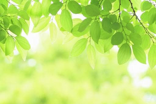 大丈夫！私もあなたと同じ…そばにいます [パニック発作・過呼吸]話しなくても電話でつながってたい イメージ1